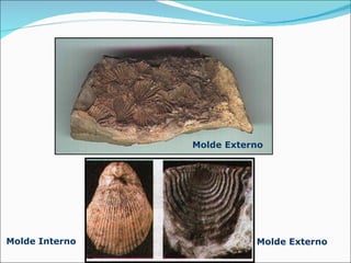 Molde Externo   Molde Externo   Molde Interno   