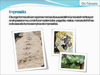 Impressão:   Os organismos deixam apenas marcas da sua existência nos sedimentos por onde passaram ou onde foram soterrados: pegadas, rastos, marcas de folhas e de asas são bons exemplos de impressões.  Os Fósseis 
