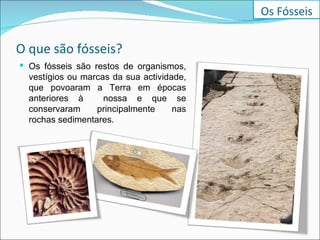 O que são fósseis? Os fósseis são restos de organismos, vestígios ou marcas da sua actividade, que povoaram a Terra em épocas anteriores à  nossa e que se conservaram principalmente nas rochas sedimentares. Os Fósseis 