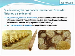 Que informações nos podem fornecer os fósseis de fácies ou de ambiente? Os fósseis de fácies ou de ambiente , apesar de não datarem as camadas, dão-nos preciosas informações sobre o tipo de ambiente que existia, no local onde são encontrados, aquando da sua fossilização.  EX:  As turritellas  e  os corais  são bons fósseis de ambiente.  Os Fósseis 