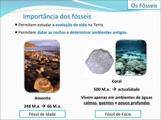    Permitem estudar a  evolução da vida   na Terra    Permitem  datar as rochas   e   determinar ambientes antigos . Fóssil de Idade Fóssil de Fácie Coral 500 M.a.    actualidade Vivem apenas em ambientes de águas  calmas ,  quentes  e  pouco profundas Amonite 248 M.a.    66 M.a. Os Fósseis Importância dos fósseis 