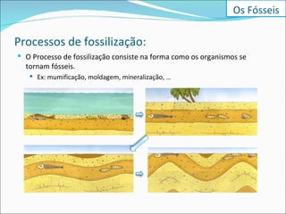 Processos de fossilização: O Processo de fossilização consiste na forma como os organismos se tornam fósseis.  Ex: mumificação, moldagem, mineralização, … Os Fósseis 