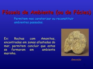Fósseis de Ambiente (ou de Fácies)
      Permitem-nos caraterizar ou reconstituir
      ambientes passados.




Ex:   Rochas      com     Amonites,
encontradas em   zonas afastadas do
mar, permitem    concluir que estas
se formaram       em       ambiente
marinho.

                                            Amonite
                                                      11
 
