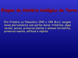 Etapas da História biológica da Terra

 Era Primária ou Paleozóico (540 a 248 M.a.): surgem
 seres pluricelulares com partes duras: trilobites, algas
 verdes, peixes, primeiras plantas e animais terrestres,
 primeiros insetos, anfíbios e répteis.




                                                        13
 