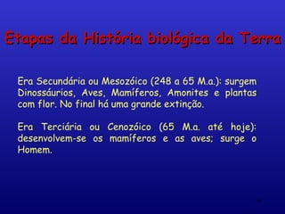 Etapas da História biológica da Terra

 Era Secundária ou Mesozóico (248 a 65 M.a.): surgem
 Dinossáurios, Aves, Mamíferos, Amonites e plantas
 com flor. No final há uma grande extinção.

 Era Terciária ou Cenozóico (65 M.a. até hoje):
 desenvolvem-se os mamíferos e as aves; surge o
 Homem.




                                                   14
 