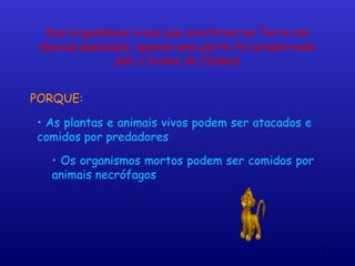 Dos organismos vivos que existiram na Terra em
 épocas passadas, apenas uma parte foi preservada
              sob a forma de fósseis


PORQUE:

• As plantas e animais vivos podem ser atacados e
comidos por predadores

   • Os organismos mortos podem ser comidos por
   animais necrófagos




                                                    3
 