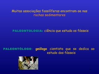 Muitas associações fossilíferas encontram-se nas
                 rochas sedimentares



    PALEONTOLOGIA: ciência que estuda os fósseis




PALEONTÓLOGO:     geólogo cientista que se dedica ao
                         estudo dos fósseis



                                                      6
 
