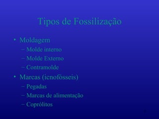 Tipos de Fossilização
• Moldagem
  – Molde interno
  – Molde Externo
  – Contramolde
• Marcas (icnofósseis)
  – Pegadas
  – Marcas de alimentação
  – Coprólitos
                                8
 