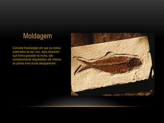 Moldagem
Consiste fossilização em que os restos
soterrados do ser vivo, após deixarem
sua forma gravada na rocha, são
completamente degradados até mesmo
as partes mais duras desaparecem.
 
