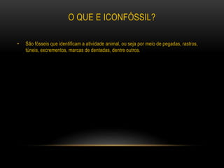 O QUE E ICONFÓSSIL?
• São fósseis que identificam a atividade animal, ou seja por meio de pegadas, rastros,
túneis, excrementos, marcas de dentadas, dentre outros.
 