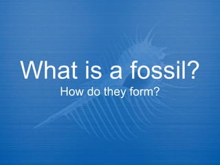 What is a fossil?  How do they form? 