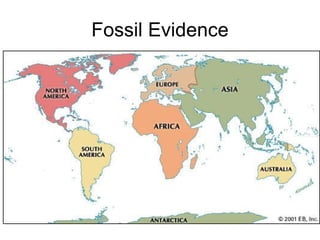 Fossil Evidence 
