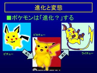 八代で化石採集しよう 恐竜の化石も見つかったよ