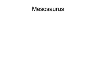 Mesosaurus 