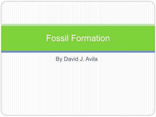 Fossil Formation 
By David J. Avila 
 