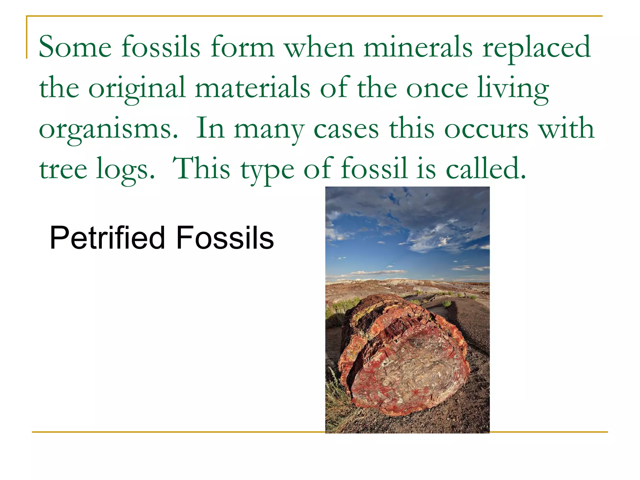 Some fossils form when minerals replaced the original materials of the once living organisms.  In many cases this occurs with tree logs.  This type of fossil is called. Petrified Fossils 