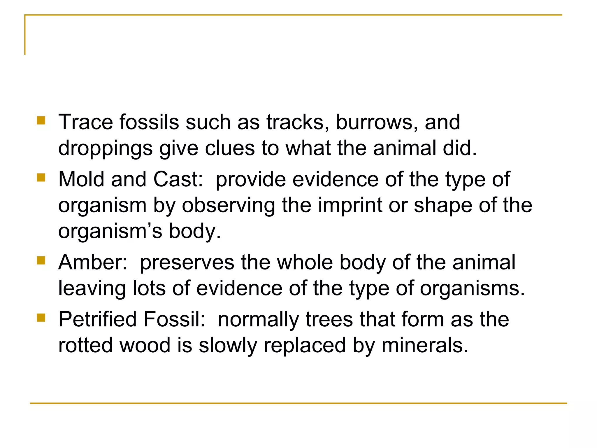 Trace fossils such as tracks, burrows, and droppings give clues to what the animal did. Mold and Cast:  provide evidence of the type of organism by observing the imprint or shape of the organism’s body. Amber:  preserves the whole body of the animal leaving lots of evidence of the type of organisms. Petrified Fossil:  normally trees that form as the rotted wood is slowly replaced by minerals.  