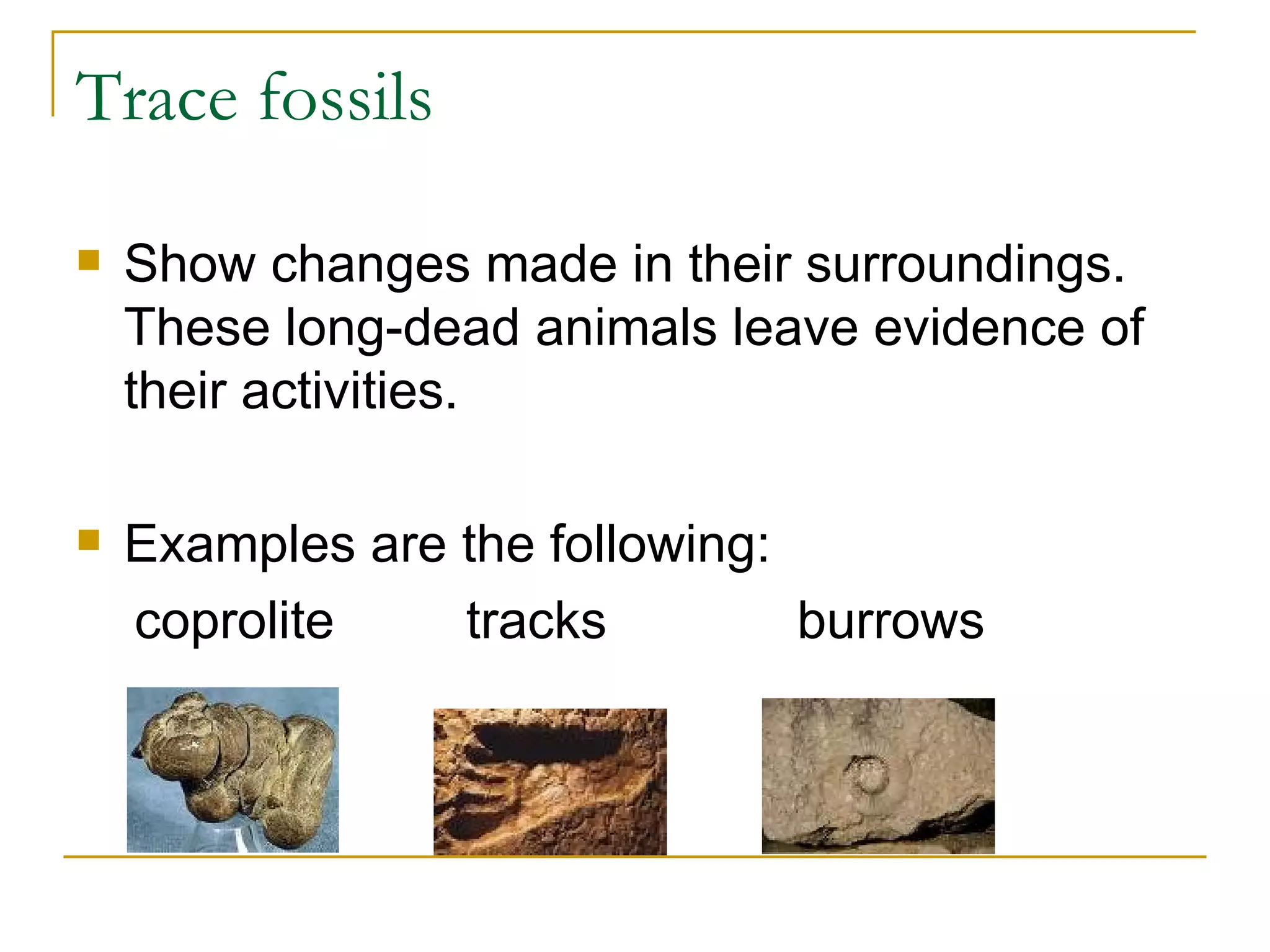Trace fossils Show changes made in their surroundings.  These long-dead animals leave evidence of their activities. Examples are the following:  coprolite  tracks  burrows 