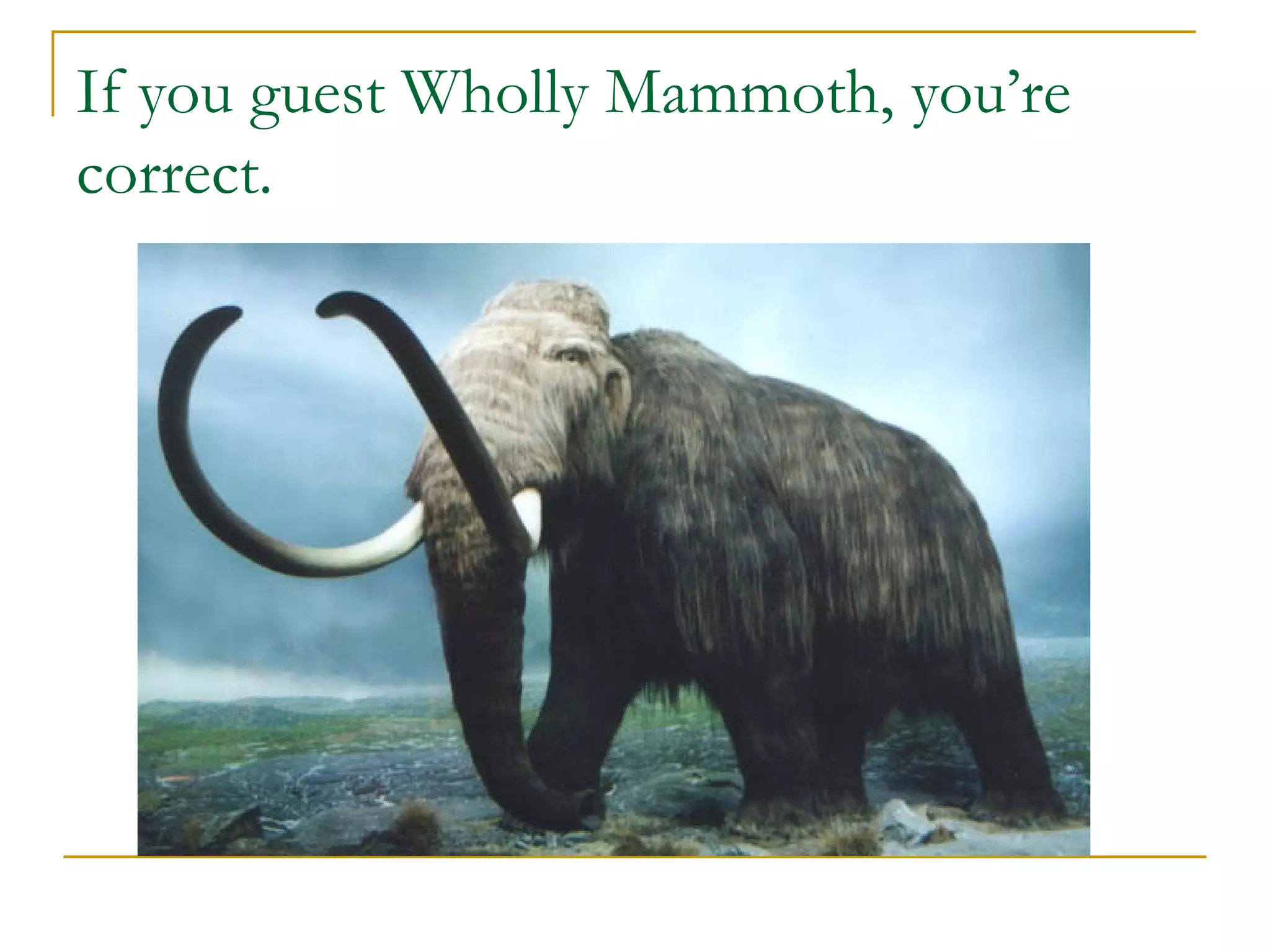 If you guest Wholly Mammoth, you’re correct. 