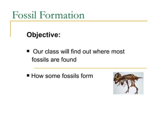 Fossil Formation ,[object Object],[object Object],[object Object],[object Object]
