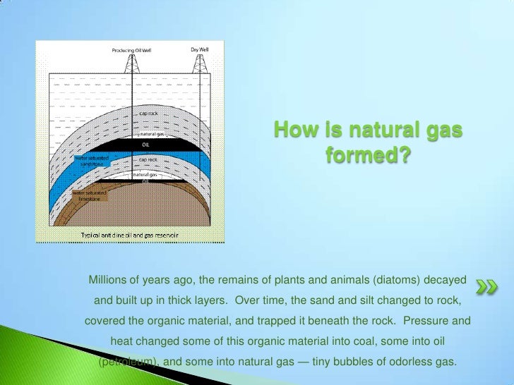 Oil And Natural Gas Primarily Formed From The Remains Of Oil And Natural Gas Primarily Formed From The Remains Of
