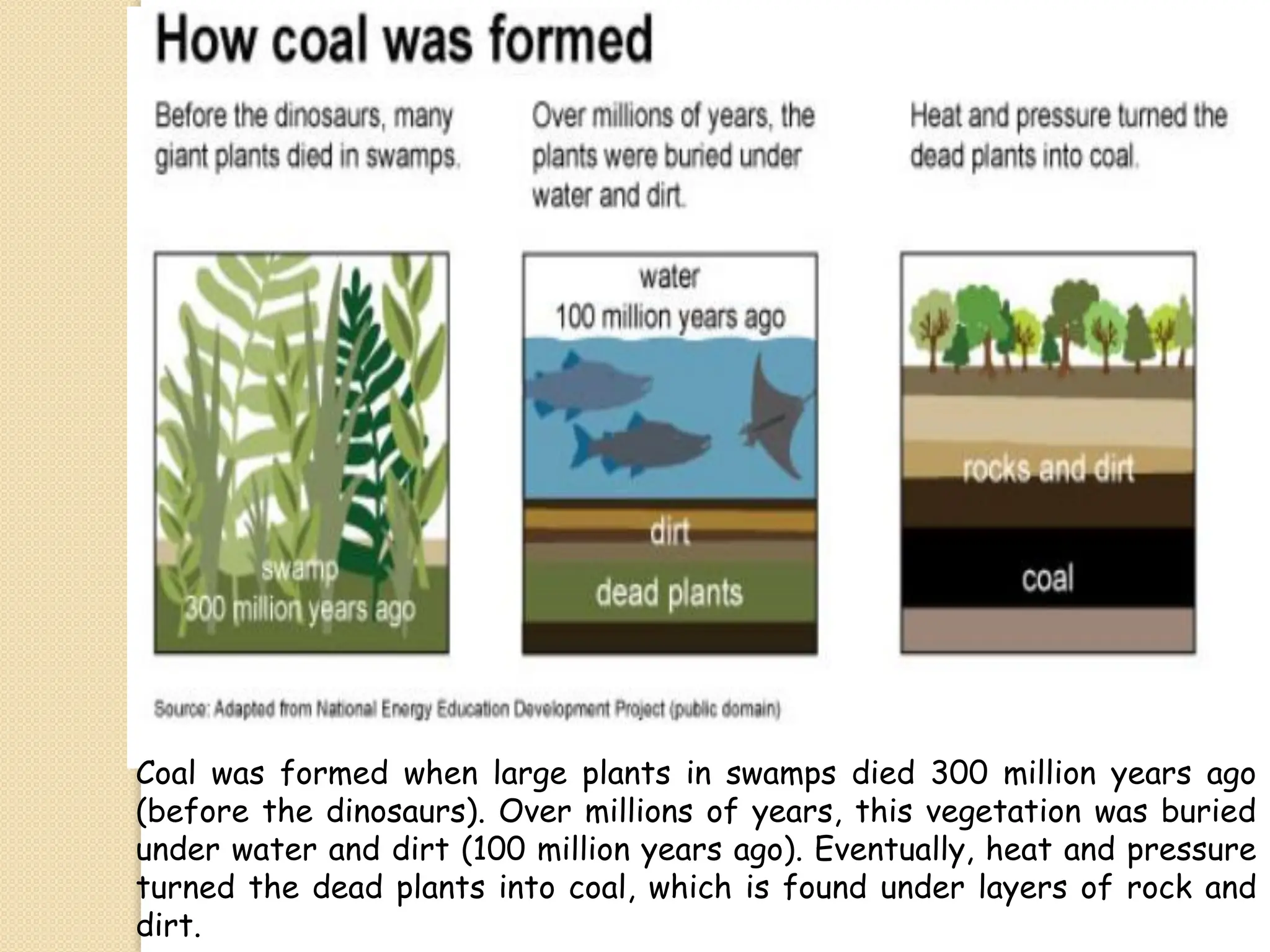 Coal was formed when large plants in swamps died 300 million years ago
(before the dinosaurs). Over millions of years, this vegetation was buried
under water and dirt (100 million years ago). Eventually, heat and pressure
turned the dead plants into coal, which is found under layers of rock and
dirt.
 