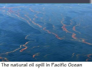 Oil and Natural Gas 
6/ Oil spills: 
Most oils and all natural gases are less dense than water, so they tend to rise as well as to migrate laterally 
through the water-filled pores of permeable rocks. Unless stopped by impermeable rocks, oil and gas may 
keep rising right up to the earth’s surface. At many known oil and gas seeps, these substances escape into the 
air or the oceans or flow out onto the ground. These natural seeps, which are one of nature’s own pollution 
sources, are not very efficient sources of hydrocarbons for fuel if compared with present drilling and extraction 
processes. 
 