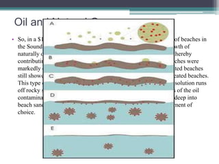 Oil and Natural Gas 
• So, in a $10-million experiment, Exxon scientists sprayed miles of beaches in 
the Sound with a fertilizer solution designed to stimulate the growth of 
naturally occurring microorganisms that are known to “eat” oil, thereby 
contributing to its decomposition. Within two weeks, treated beaches were 
markedly cleaner than untreated ones. Five months later, the treated beaches 
still showed higher levels of those microorganisms than did untreated beaches. 
This type of treatment isn’t universally successful. The fertilizer solution runs 
off rocky shores, so this treatment won’t work on rocky stretches of the oil 
contaminated coast; nor is it as effective once the oil has seeped deep into 
beach sands. But microorganisms may indeed be the future treatment of 
choice. 
 