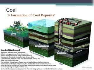 Coal 
1/ Formation of Coal Deposits: 
 