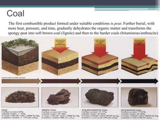 Coal 
The first combustible product formed under suitable conditions is peat. Further burial, with 
more heat, pressure, and time, gradually dehydrates the organic matter and transforms the 
spongy peat into soft brown coal (lignite) and then to the harder coals (bituminous/anthracite) 
 