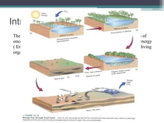 Introduction 
The fossil fuels are those energy sources that formed from the remains of 
once-living organisms. When we burn them, we are using that stored energy 
( Energy is stored in the chemical bonds of the organic compounds of living 
organisms ) 
 