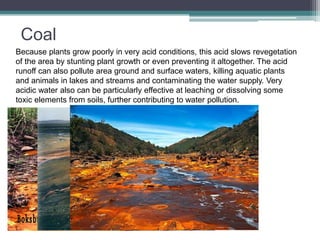 Coal 
Because plants grow poorly in very acid conditions, this acid slows revegetation 
of the area by stunting plant growth or even preventing it altogether. The acid 
runoff can also pollute area ground and surface waters, killing aquatic plants 
and animals in lakes and streams and contaminating the water supply. Very 
acidic water also can be particularly effective at leaching or dissolving some 
toxic elements from soils, further contributing to water pollution. 
 