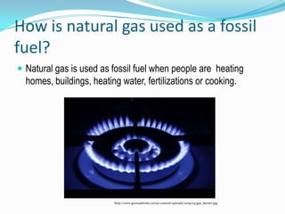 How is natural gas used as a fossil fuel?Natural gas is used as fossil fuel when people are  heating homes, buildings, heating water, fertilizations or cooking.http://www.greenathome.ca/wp-content/uploads/2009/04/gas_burner.jpg