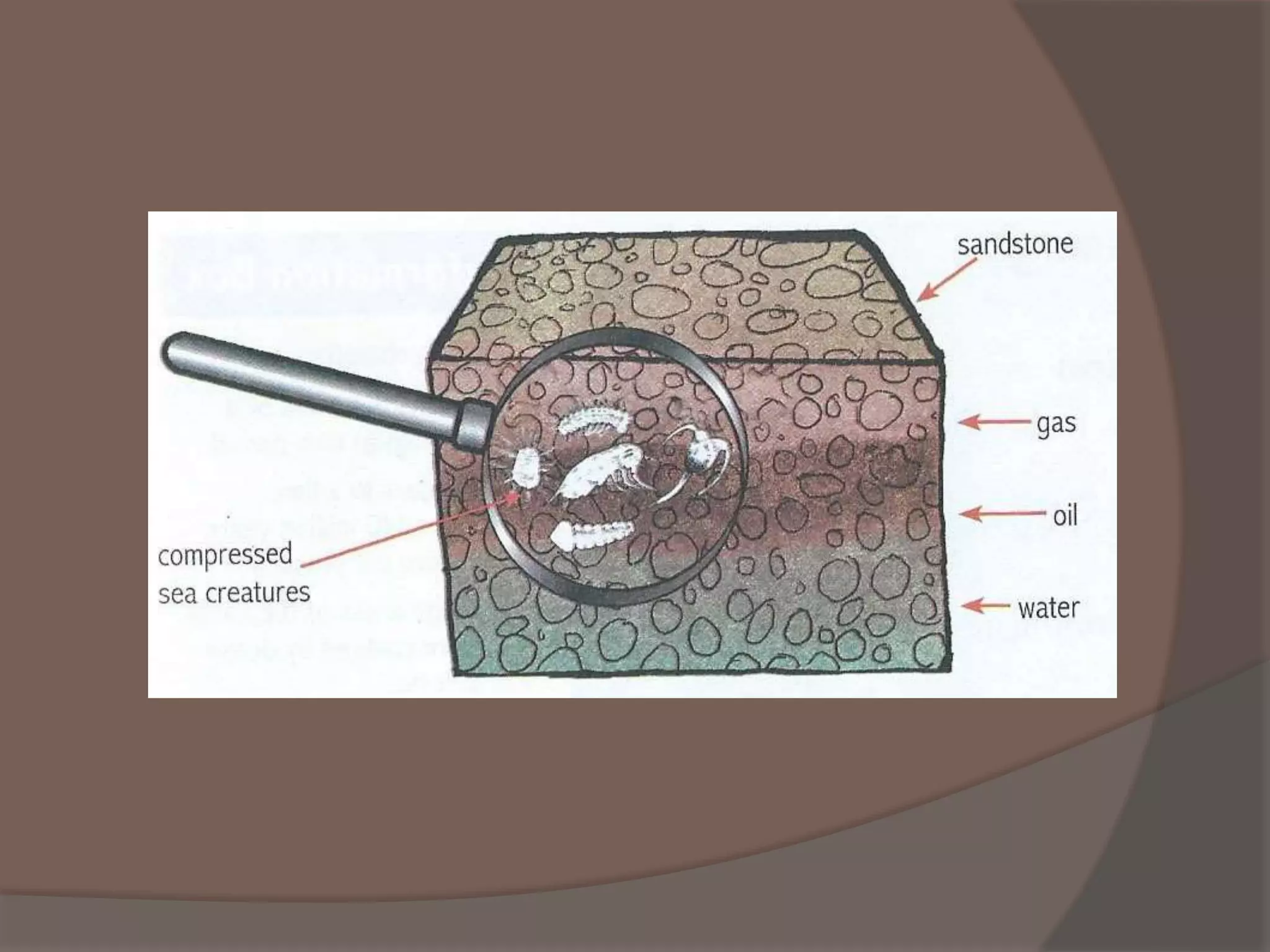 Fossil fuels Formation