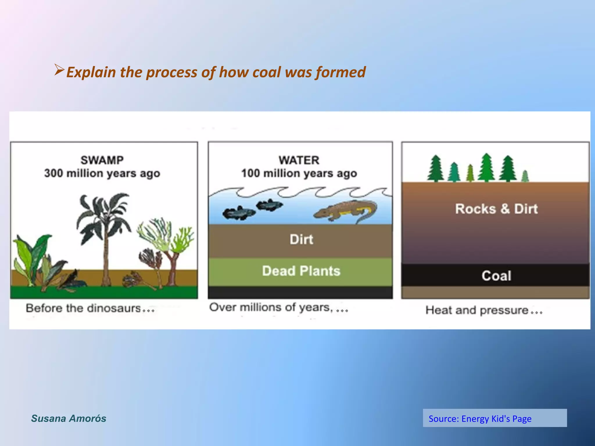 Source: Energy Kid's Page
Explain the process of how coal was formed
Susana Amorós
 