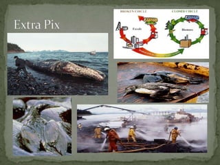 FOSSIL FUELS EARTH SCIENCE.pptx