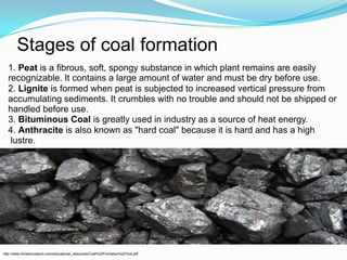 Stages of coal formation1. Peatis a fibrous, soft, spongy substance in which plant remains are easily recognizable. It contains a large amount of water and must be dry before use. 2. Ligniteis formed when peat is subjected to increased vertical pressure from accumulating sediments. It crumbles with no trouble and should not be shipped or handled before use.3. Bituminous Coalis greatly used in industry as a source of heat energy.4. Anthraciteis also known as "hard coal" because it is hard and has a highlustre. http://www.minersmuseum.com/educational_resources/Coal%20Formation%20Text.pdf