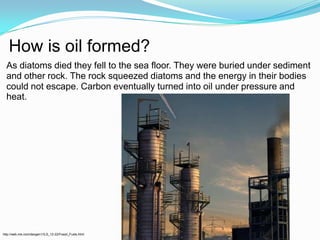 How is oil formed?As diatoms died they fell to the sea floor. They were buried under sediment and other rock. The rock squeezed diatoms and the energy in their bodies could not escape. Carbon eventually turned into oil under pressure and heat.http://web.me.com/davgen1/ILS_12-22/Fossil_Fuels.html