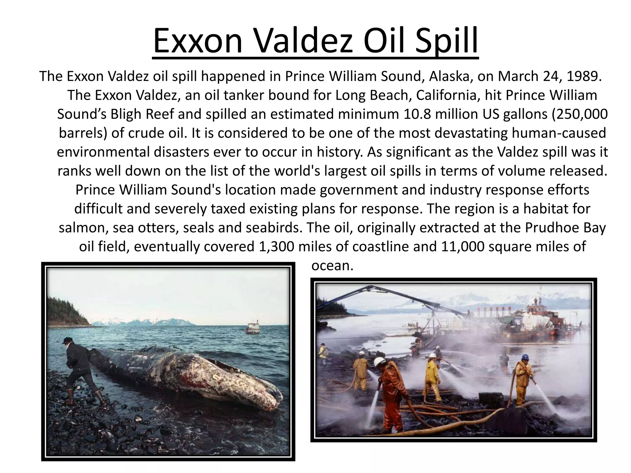 Exxon Valdez Oil SpillThe Exxon Valdez oil spill happened in Prince William Sound, Alaska, on March 24, 1989. The Exxon Valdez, an oil tanker bound for Long Beach, California, hit Prince William Sound’s Bligh Reef and spilled an estimated minimum 10.8 million US gallons (250,000 barrels) of crude oil. It is considered to be one of the most devastating human-caused environmental disasters ever to occur in history. As significant as the Valdez spill was it ranks well down on the list of the world's largest oil spillsin terms of volume released. Prince William Sound's location made government and industry response efforts difficult and severely taxed existing plans for response. The region is a habitat for salmon, sea otters, seals and seabirds. The oil, originally extracted at the Prudhoe Bay oil field, eventually covered 1,300 miles of coastline and 11,000 square miles of ocean.