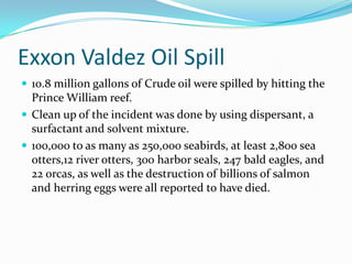 Exxon Valdez Oil Spill10.8 million gallons of Crude oil were spilled by hitting the Prince William reef.Clean up of the incident was done by using dispersant, a surfactant and solvent mixture.100,000 to as many as 250,000 seabirds, at least 2,800 sea otters,12 river otters, 300 harbor seals, 247 bald eagles, and 22 orcas, as well as the destruction of billions of salmon and herring eggs were all reported to have died.