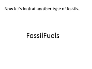 Now let’s look at another type of fossils.




            FossilFuels
 