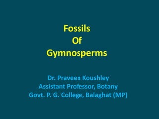 Fossils
Of
Gymnosperms
Dr. Praveen Koushley
Assistant Professor, Botany
Govt. P. G. College, Balaghat (MP)
 
