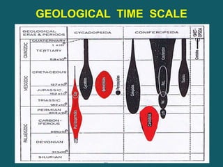 GEOLOGICAL TIME SCALE
 