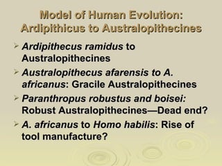 Fossil Hominins: From Ardipithecus to Homo | PPT