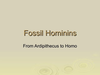 Fossil Hominins From Ardipithecus to Homo 