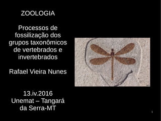 1
ZOOLOGIA
Processos de
fossilização dos
grupos taxonômicos
de vertebrados e
invertebrados
Rafael Vieira Nunes
13.iv.2016
Unemat – Tangará
da Serra-MT
 