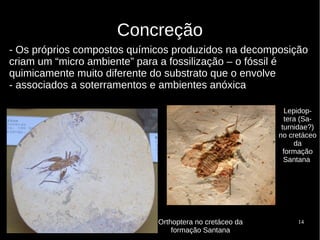 14
Concreção
- Os próprios compostos químicos produzidos na decomposição
criam um “micro ambiente” para a fossilização – o fóssil é
quimicamente muito diferente do substrato que o envolve
- associados a soterramentos e ambientes anóxica
Orthoptera no cretáceo da
formação Santana
Lepidop-
tera (Sa-
turnidae?)
no cretáceo
da
formação
Santana
 