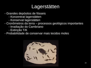 24
Lagerstätten
- Grandes depósitos de fósseis
- Konzentrat lagerstätten
- Konservat lagerstätten
- Cronômetros da terra – processos geológicos importantes
- Irradiação do Cambriano
- Extinção T/K
- Probabilidade de conservar mais tecidos moles
 