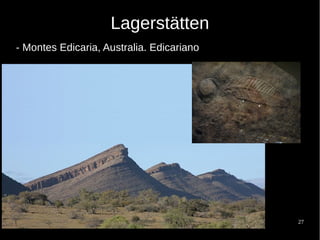 27
Lagerstätten
- Montes Edicaria, Australia. Edicariano
 