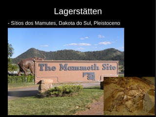 28
Lagerstätten
- Sítios dos Mamutes, Dakota do Sul, Pleistoceno
 